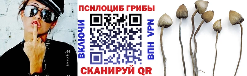 Галлюциногенные грибы Magic Shrooms  Кумертау 